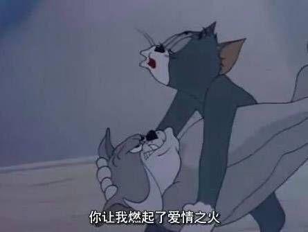 有没有一些猫和老鼠里面那个叫斯派克的狗的好玩的表情图