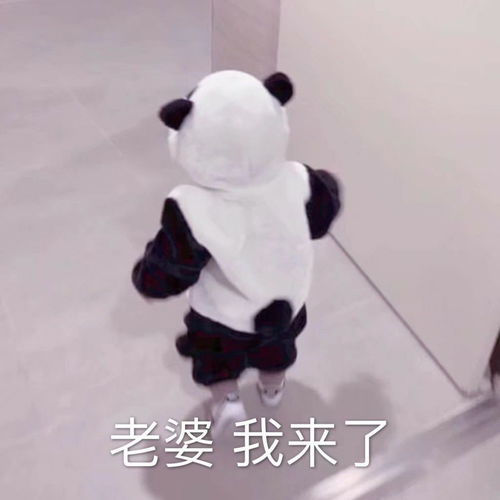 我的收藏夹