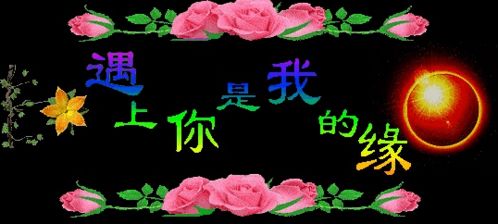 搞笑的表情包动态微信开心一笑