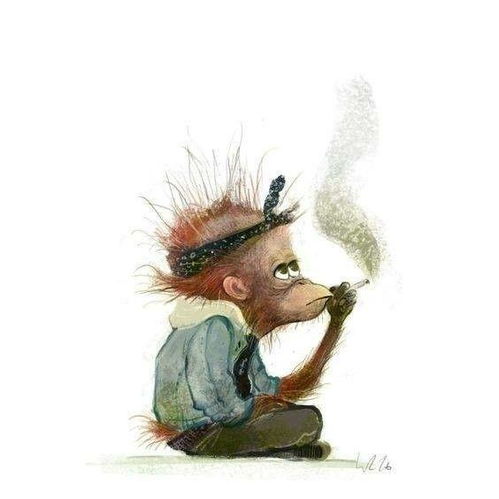 wiebkerauers的宠物们,就问你萌不萌
