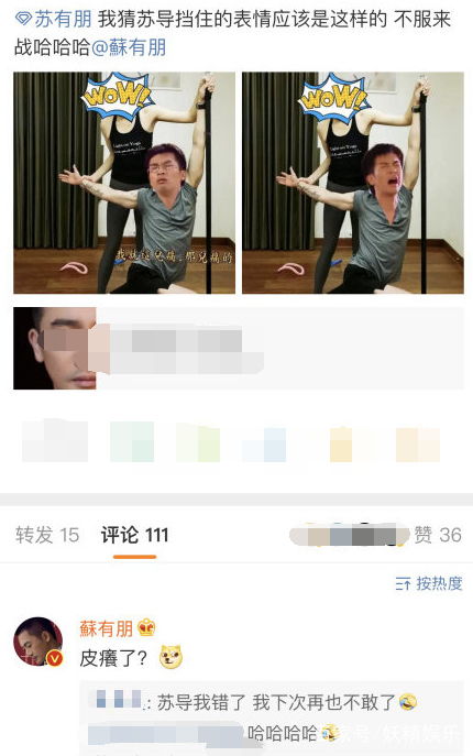 表情苏有朋瑜伽照被网友恶搞,p上杜飞毫无违和感苏有朋皮痒了苏导表情