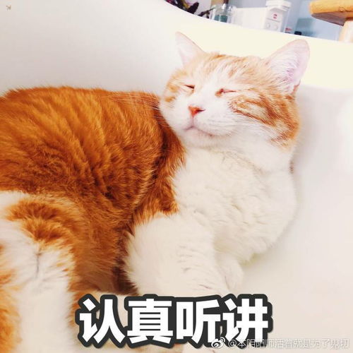 音游黑话备忘录