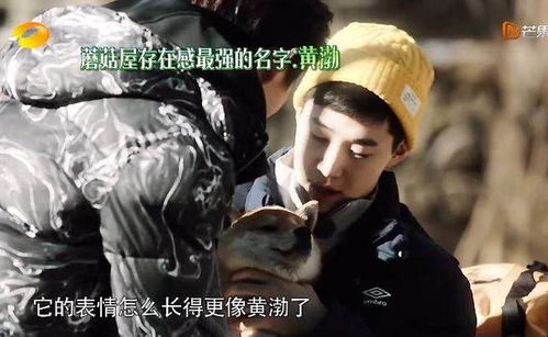黄渤的名字在节目中出现多次,徐峥调侃他是小短腿,黄渤耿耿于怀