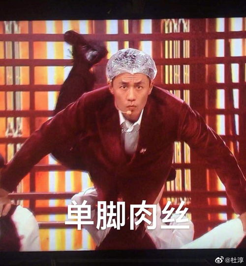 组图蛋饺肉丝升级版杜淳发舞台照做表情包自侃