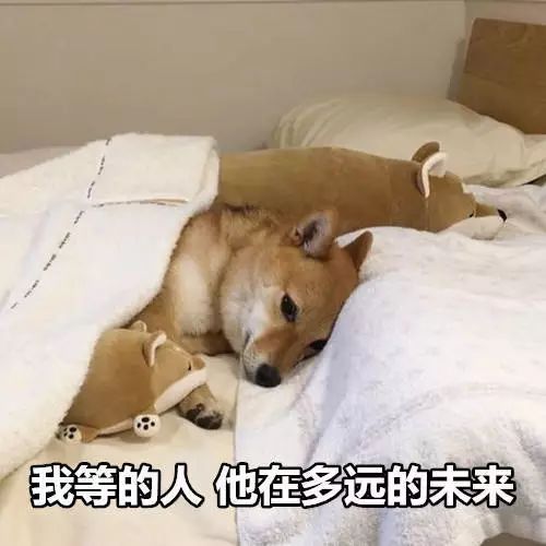 抓紧明年七夕怎么过,就看明天啦