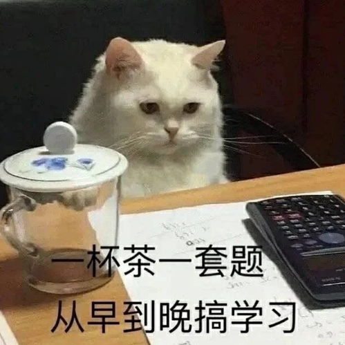 谢谢的搞笑表情包学习