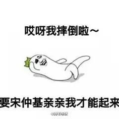 晨博社20160309这五年她本可以很美