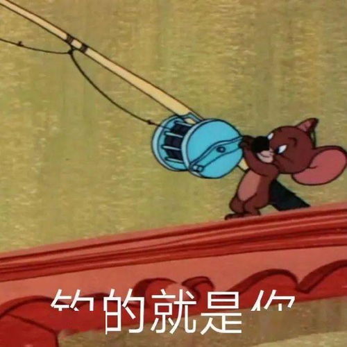 表情包