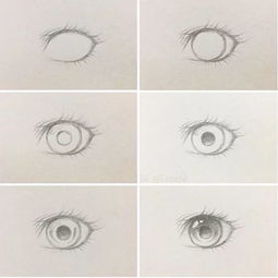 小央美分享给初学者的一组动漫精品