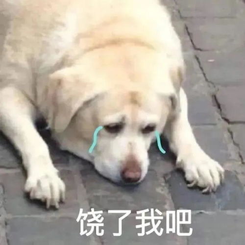 最新平均工资出炉来看看你是不是又拖后腿了