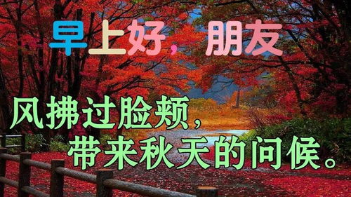 9月17日特别漂亮的早上好动态图片表情包大全,秋日最新早晨好美图大全