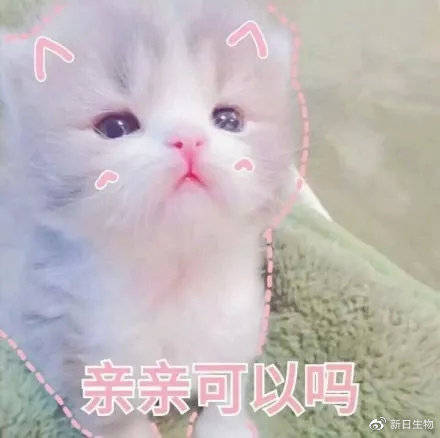 双十一脱单必备指南附表白表情包