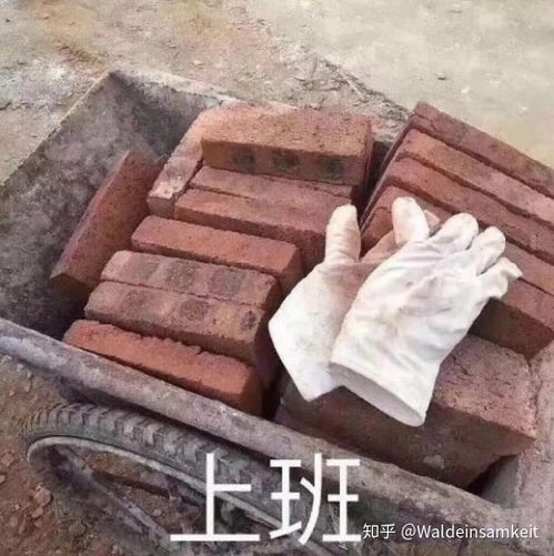 打工人只要我够努力,老板就能过上他想要的生活