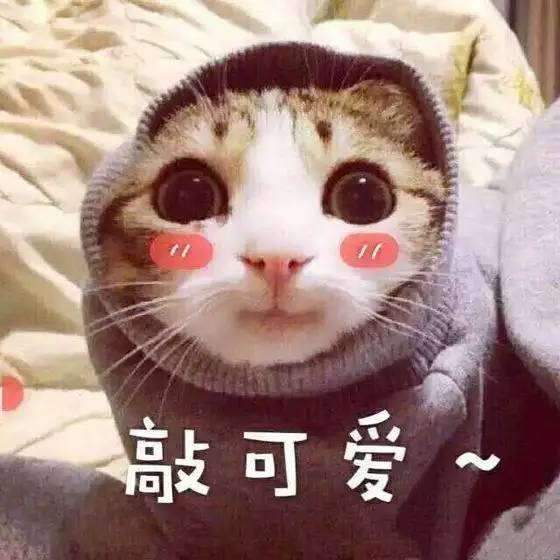 起床了表情包搞笑图片泰洛