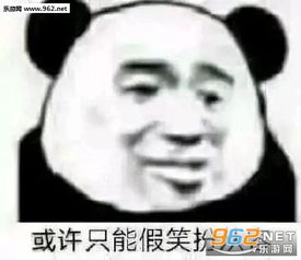 或许只能假笑扮从容表情包没用的我对女人没兴趣表情包下载乐游网游戏下载
