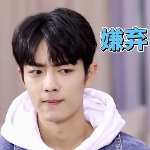 肖战表情包,帅气又可爱