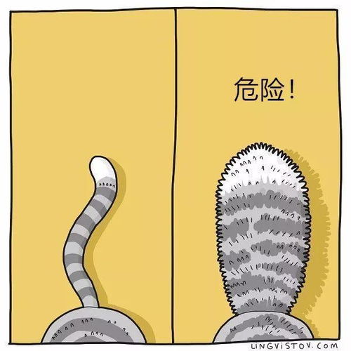 20张漫画告诉你,当猫奴是一件多么可怕的事看你还敢不敢养猫