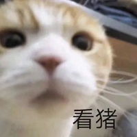表情包可爱搞笑表情包