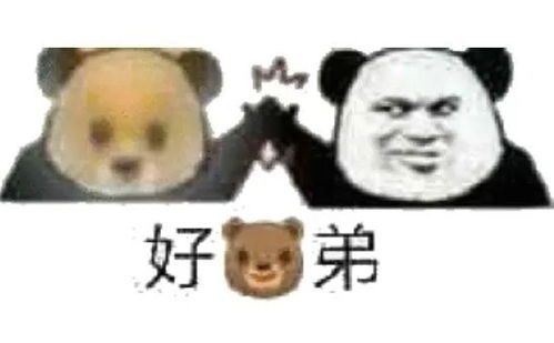 沙雕表情包好笑吗整天哈哈哈哈的