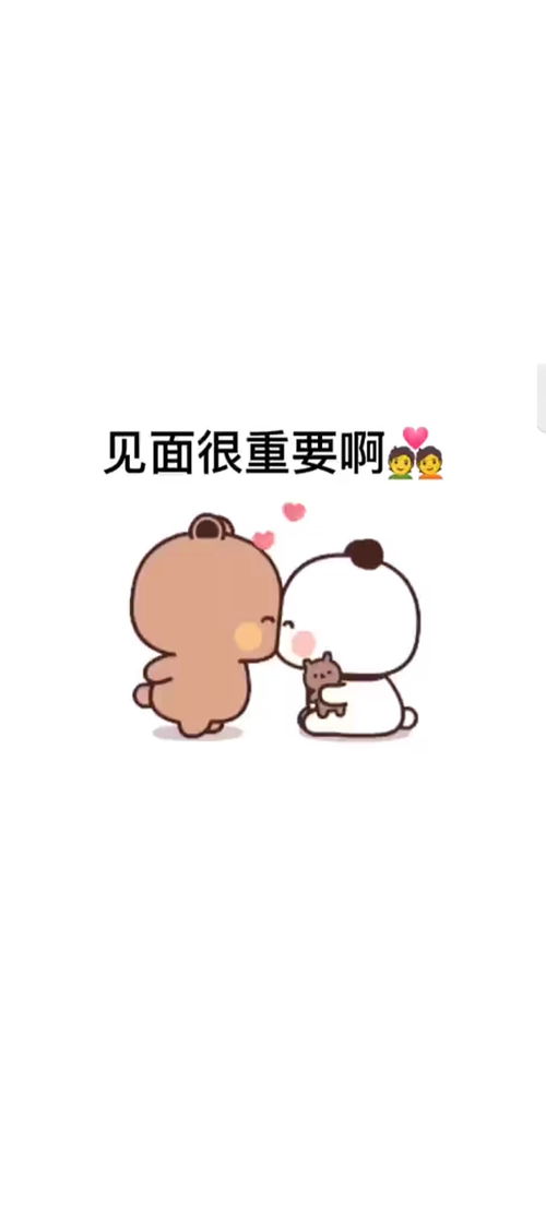 见面很重要表情包搞笑视频经典段子情侣夫妻