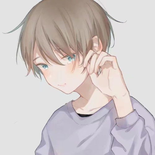 动漫男头失论