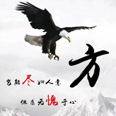 雄鹰展翅姓氏微信头像岂能尽如人意但求无愧我心
