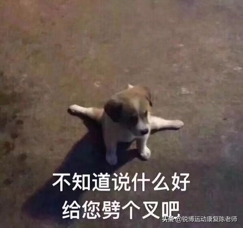 神奇训练不光瘦胳膊瘦腿,还能帮你整容