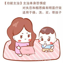 老婆的使用说明书终于出世了谁编的肚子笑疼了