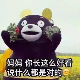 你是我永远的女神,妈妈