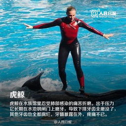 人民日报微博倡议拒绝动物表演别让它们再受伤害