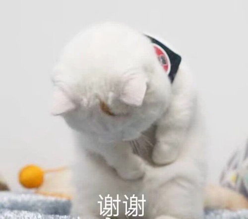搞笑