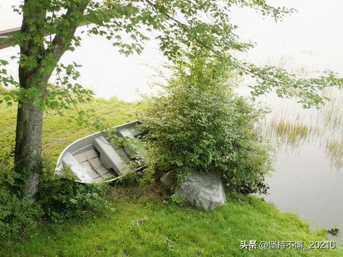 30-40岁微信头像风景女风景