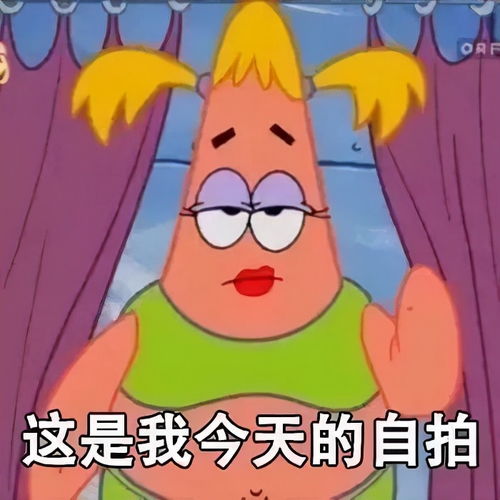 承包韩国女生的头像大户,太惊艳了