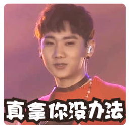 汪苏泷gif表情包