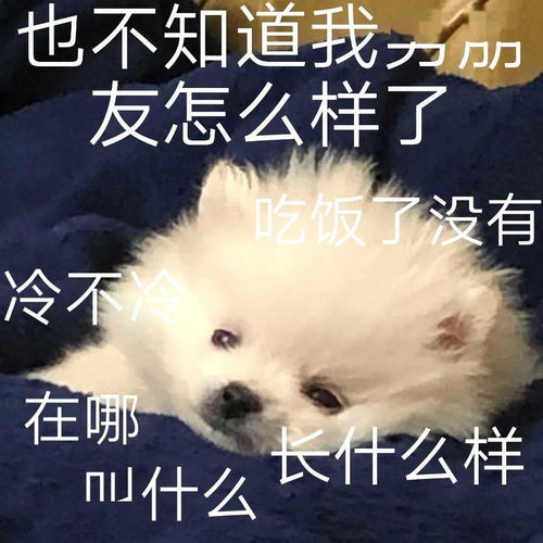 日常沙雕搞笑表情
