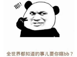 适合祝自己生日快乐的句子,既幽默又搞笑,朋友圈一定会互动满满