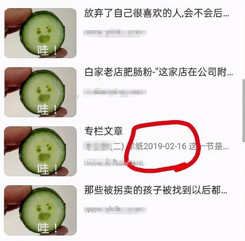 反转肖战最新自拍黄瓜表情包引争议,227粉丝遭打脸,还是国外的黄瓜