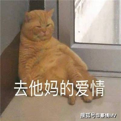 不想恋爱的搞笑表情图片