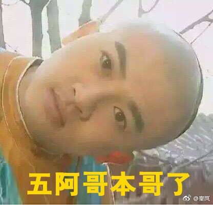 苏有朋真的好有梗哈哈哈五阿哥是你吗