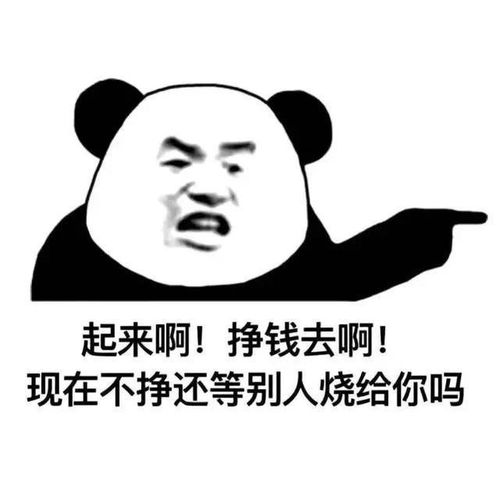 搞笑表情包起来啊,挣钱去啊,现在不挣还等别人烧给你吗