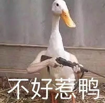 沙雕图片搞笑表情包大鹏展翅
