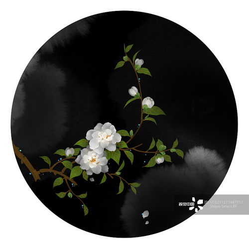 插画