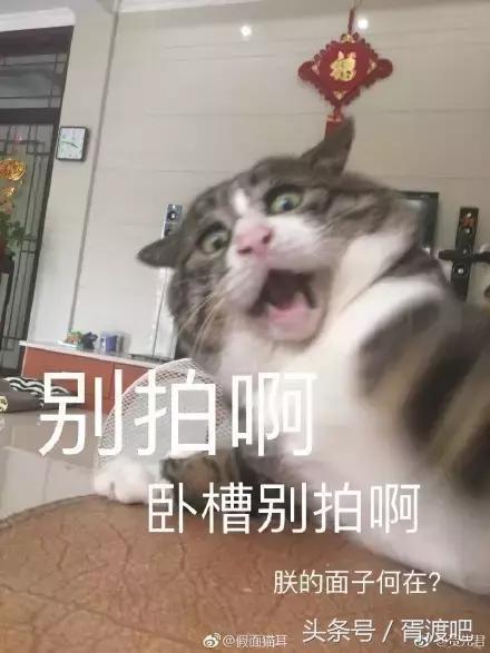幽默搞笑可以帮我把我的妈妈p得年轻一点吗
