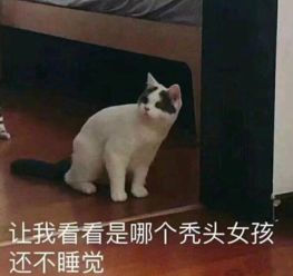 轻松一刻工作室轻松一刻史诗级装逼车祸现场,膜拜下