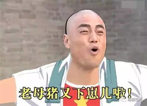 暑假要来了,还珠格格又爆红网络忍住别笑,满满的全是戏