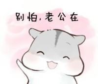哄老婆表情包大全老婆大人对不起好喜欢老婆我老婆超级可爱
