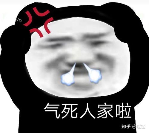 天气热死了搞笑表情包天气