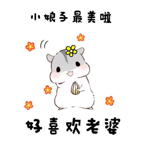 仓鼠表情包老婆不要再赖床啦