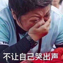 最搞笑表情包韩红