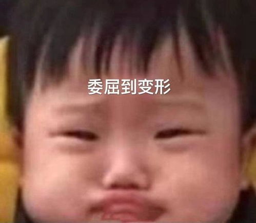 张恒对郑爽放狠话去找前任啊他到底能不能好好说话